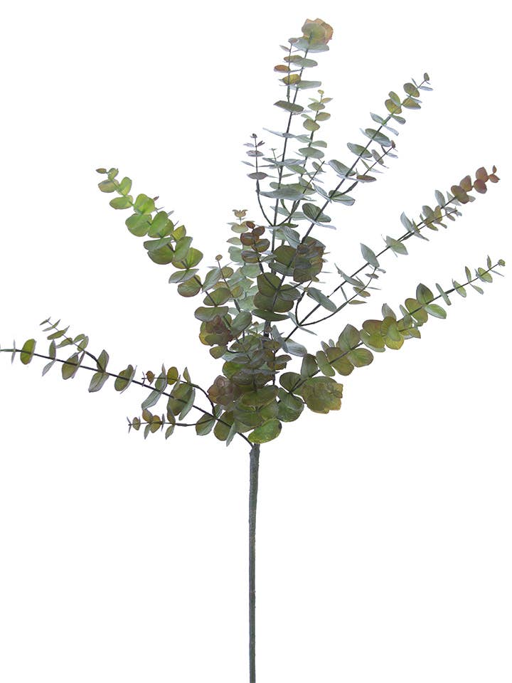 44" EUCALYPTUS SPRAY