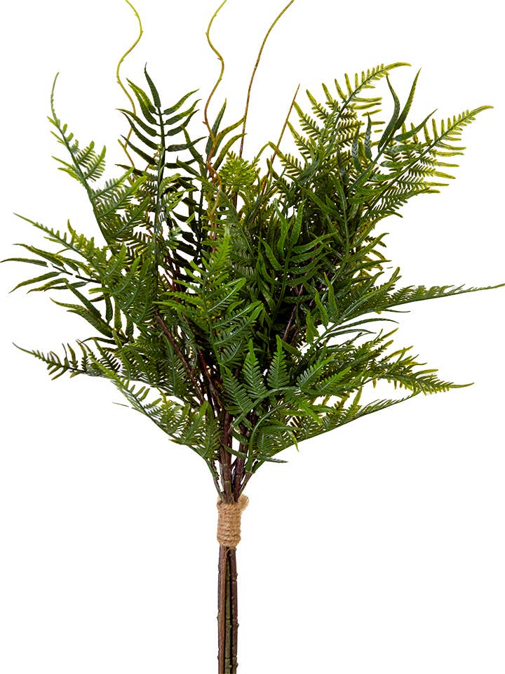 25" FERN BUNDLE