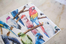Load image into Gallery viewer, Birds | Rice Decoupage Paper | Dixie Belle