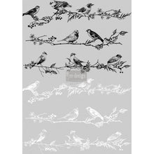 Load image into Gallery viewer, Birds & Berries | Decor Transfer | Prima