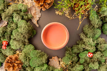 Load image into Gallery viewer, Cottage Door - Chalk Mineral Paint