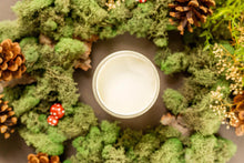 Load image into Gallery viewer, Cucumber Ice - Chalk Mineral Paint