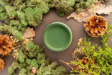 Load image into Gallery viewer, English Ivy - Chalk Mineral Paint