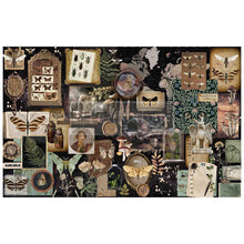 Load image into Gallery viewer, Herbarium Notes | Tissue Decoupage Paper | Prima