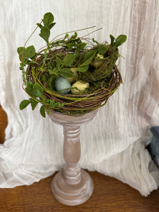 Double Nest with Eggs