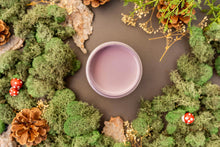 Load image into Gallery viewer, Secret Path - Chalk Mineral Paint