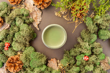 Load image into Gallery viewer, Weeping Willow - Chalk Mineral Paint