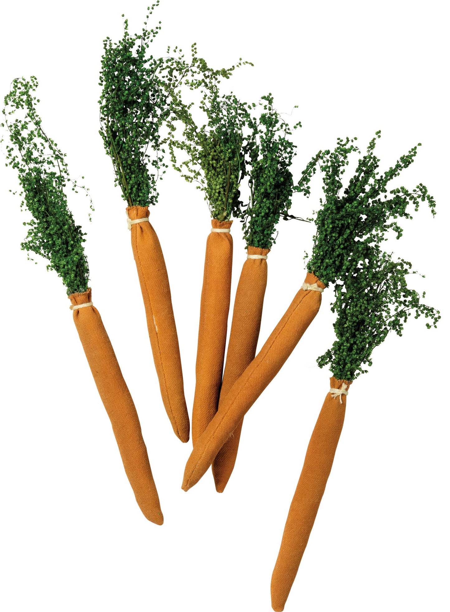 Primitive Carrots