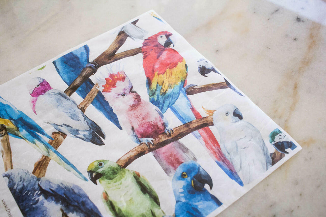 Birds | Rice Decoupage Paper | Dixie Belle