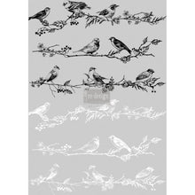 Load image into Gallery viewer, Birds &amp; Berries | Decor Transfer | Prima
