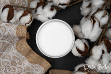 Load image into Gallery viewer, Cotton - Chalk Mineral Paint
