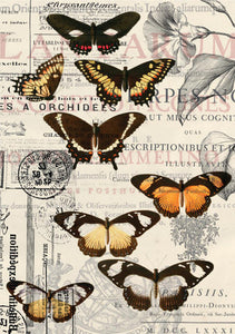 Vintage Butterflies | Tissue Decoupage Paper | Dixie Belle