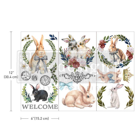 Cottontail Transfer