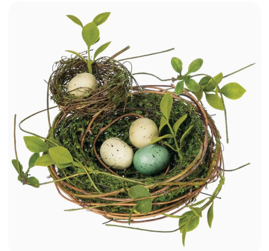 Double Nest with Eggs