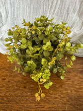 Load image into Gallery viewer, Eucalyptus Half Orb
