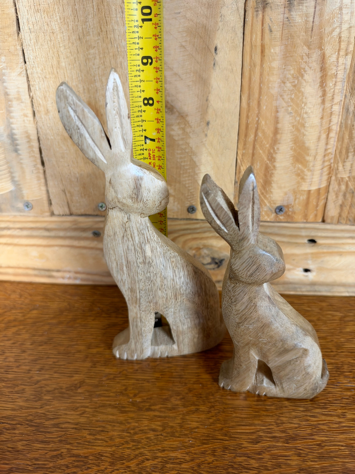 Backward Facing Bunnies
