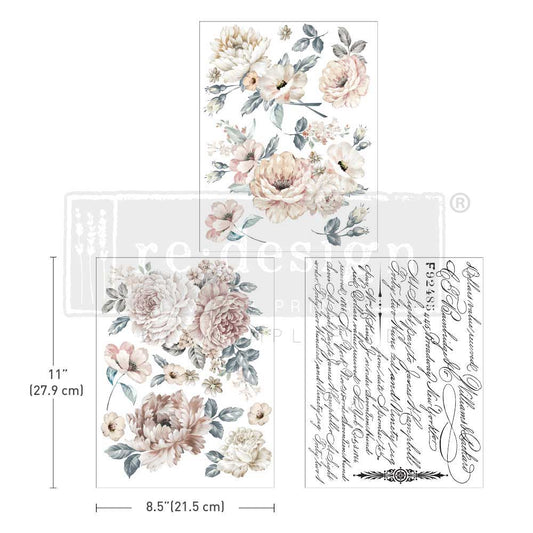 Natural Wonders | Middy Transfers | Prima