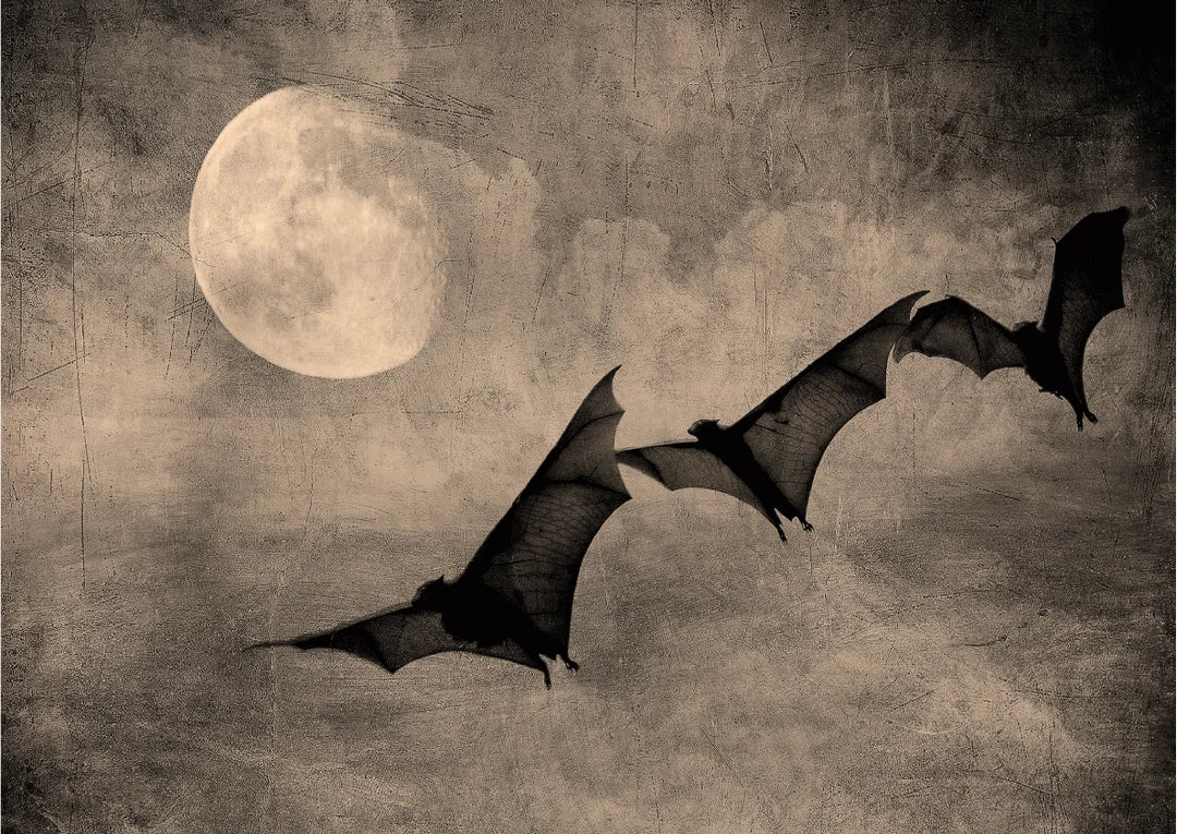 Nocturnal Flight - A3 Rice Decoupage Paper