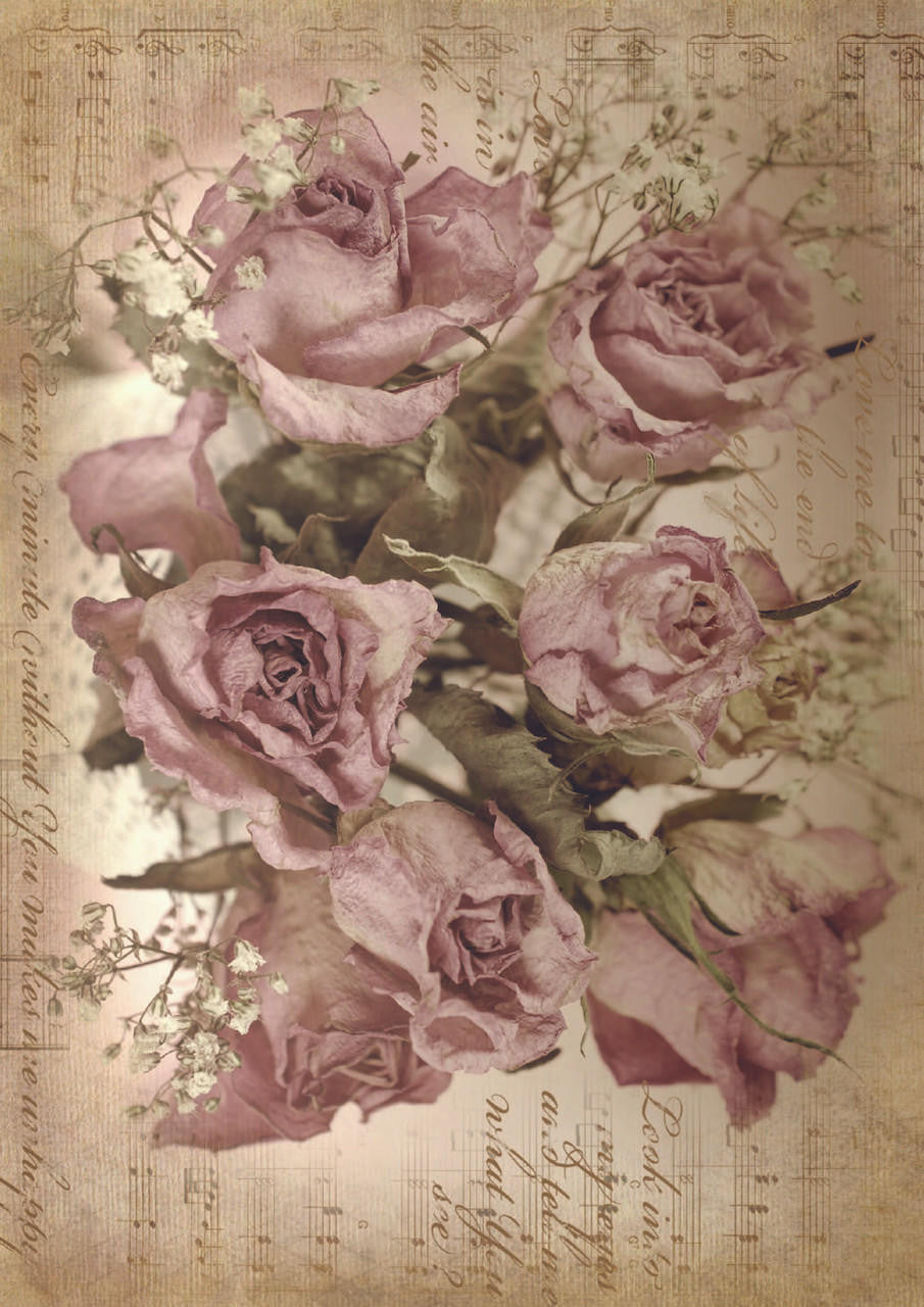 Sepia Rose Song | A1 Rice Decoupage Paper | Dixie Belle