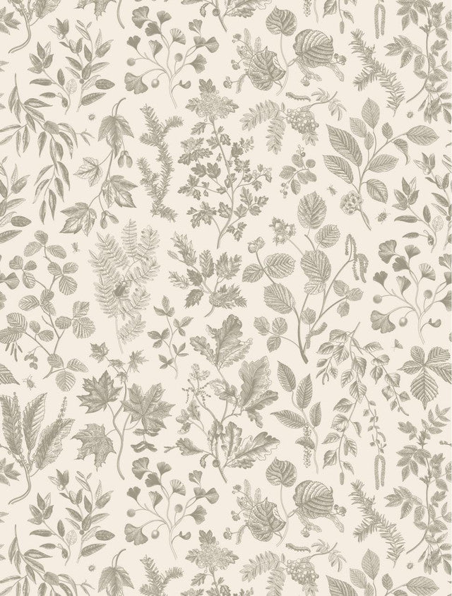 Dainty Botanical