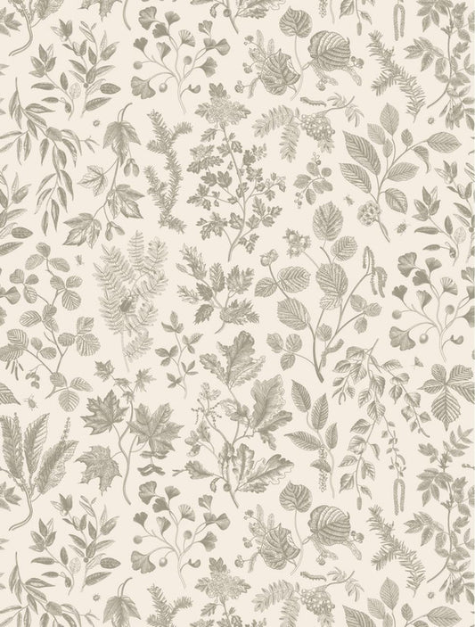 Dainty Botanical