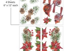Caroling Cardinals Transfer