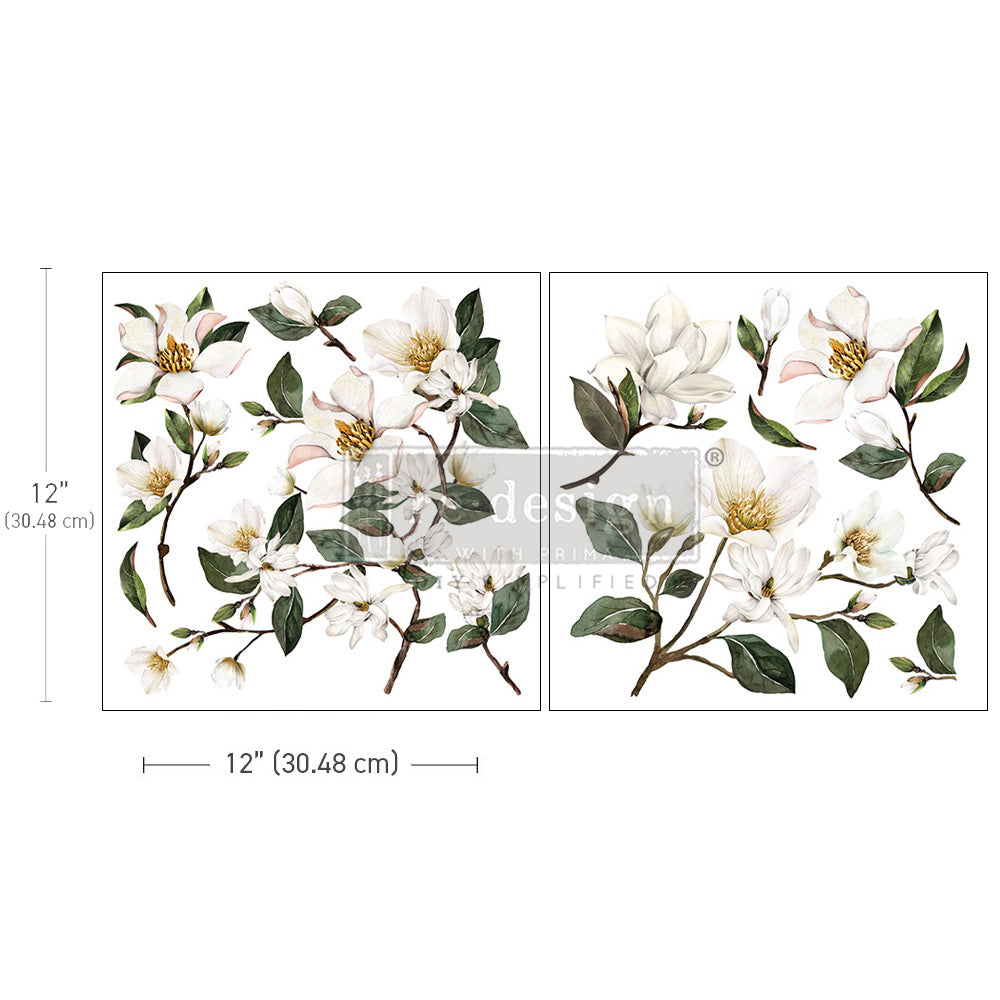 Magnolia Garden | Maxi Transfer