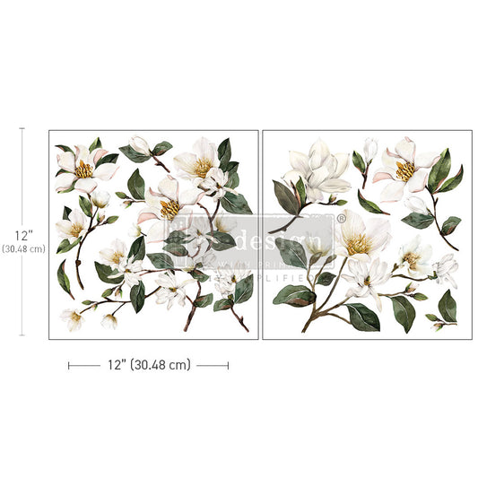 Magnolia Garden | Maxi Transfer