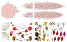 Load image into Gallery viewer, Pink Pampas and Dried Wilds Transfer

