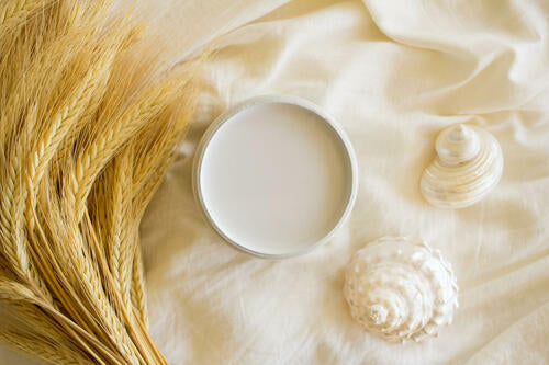 Oyster Silk All-In-One Mineral Paint